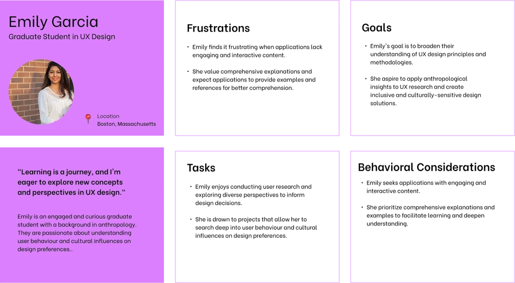 Primary user persona showing demographics, goals, and pain points